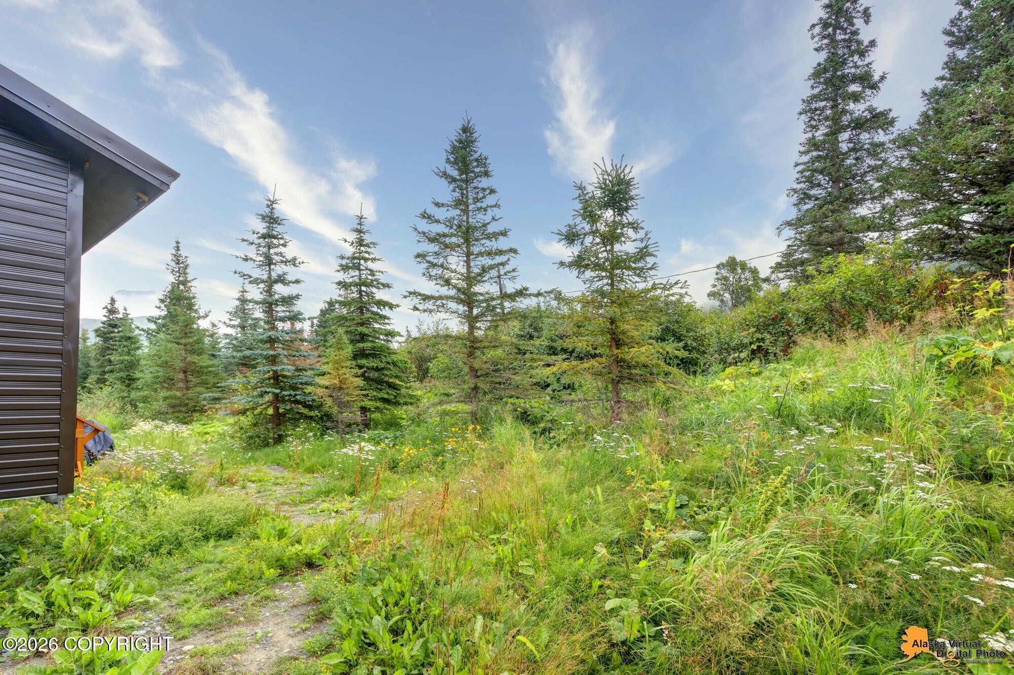 7820 Viola Circle Property Photo 62