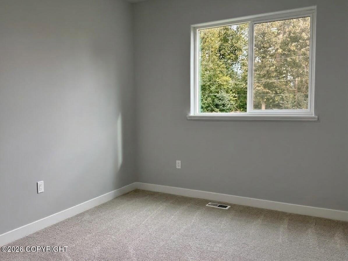 11303 Willene Drive Property Photo 64