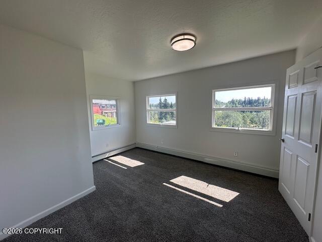 34358 Old Sterling Highway Property Photo 87