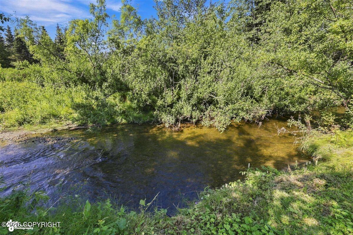 32420 Kingfisher Place Property Photo 46