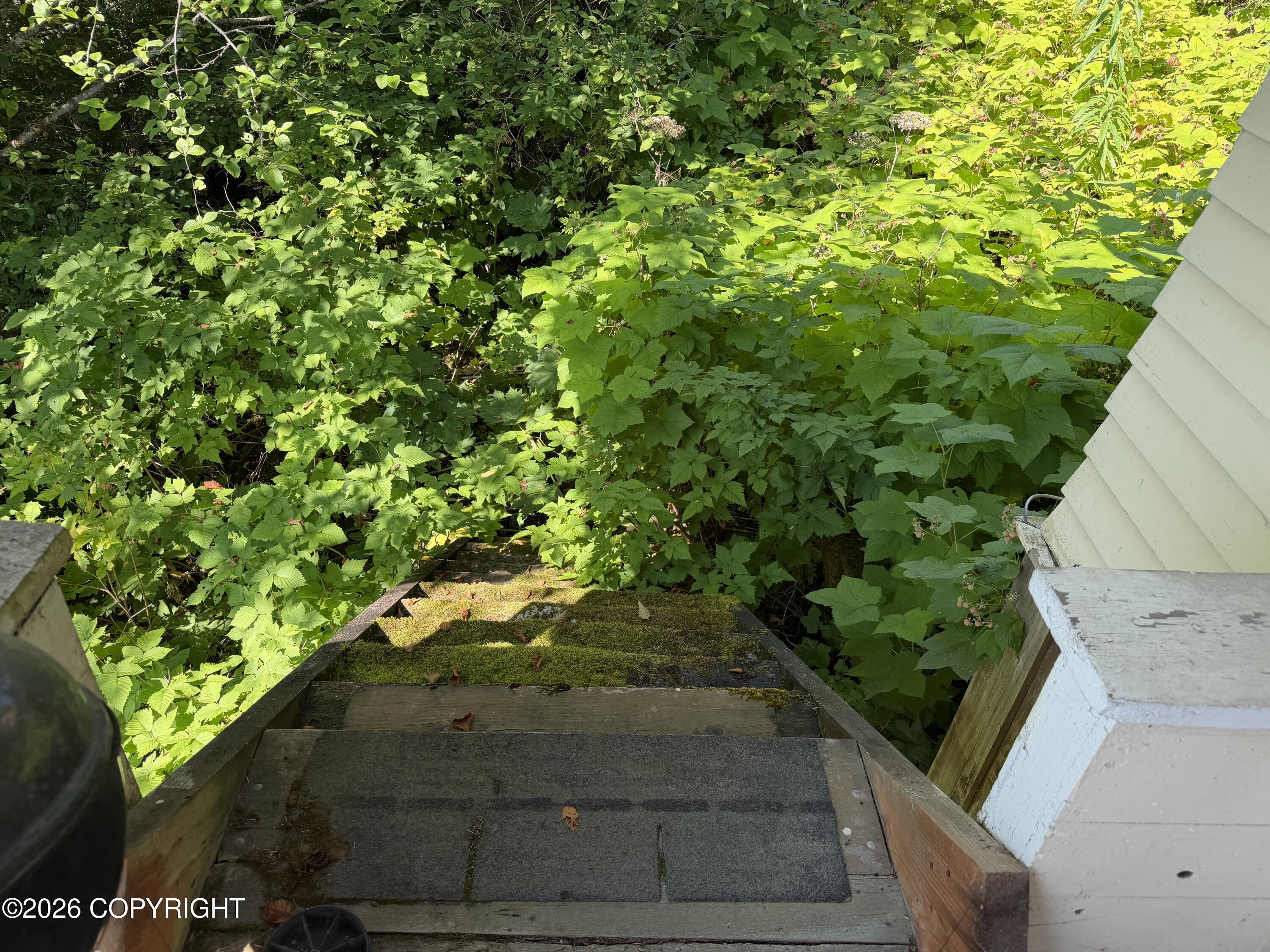 347 Cassiar Property Photo 5