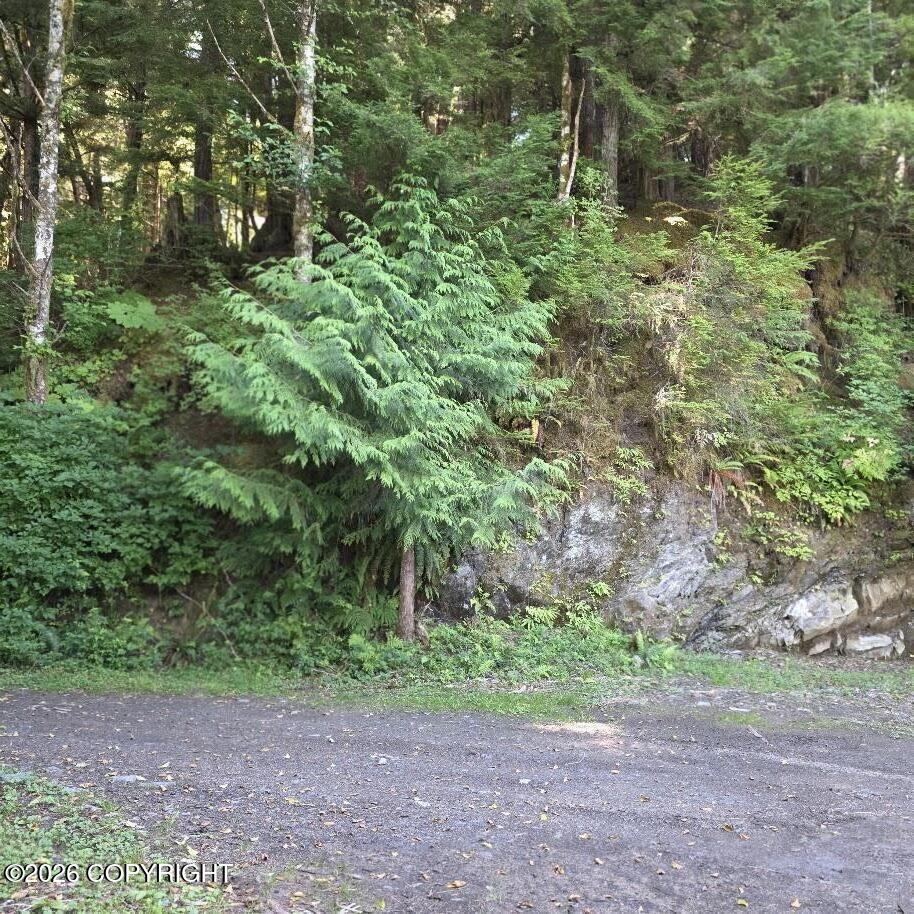 16255 N Tongass Highway Property Photo 7