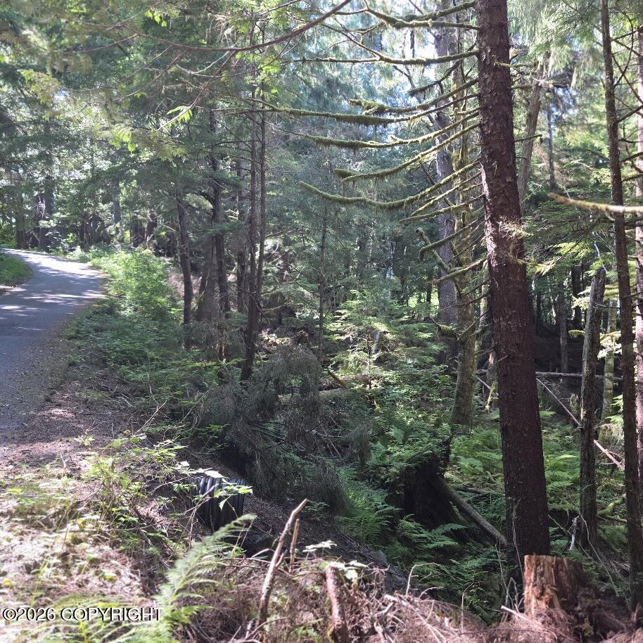 16255 N Tongass Highway Property Photo 9