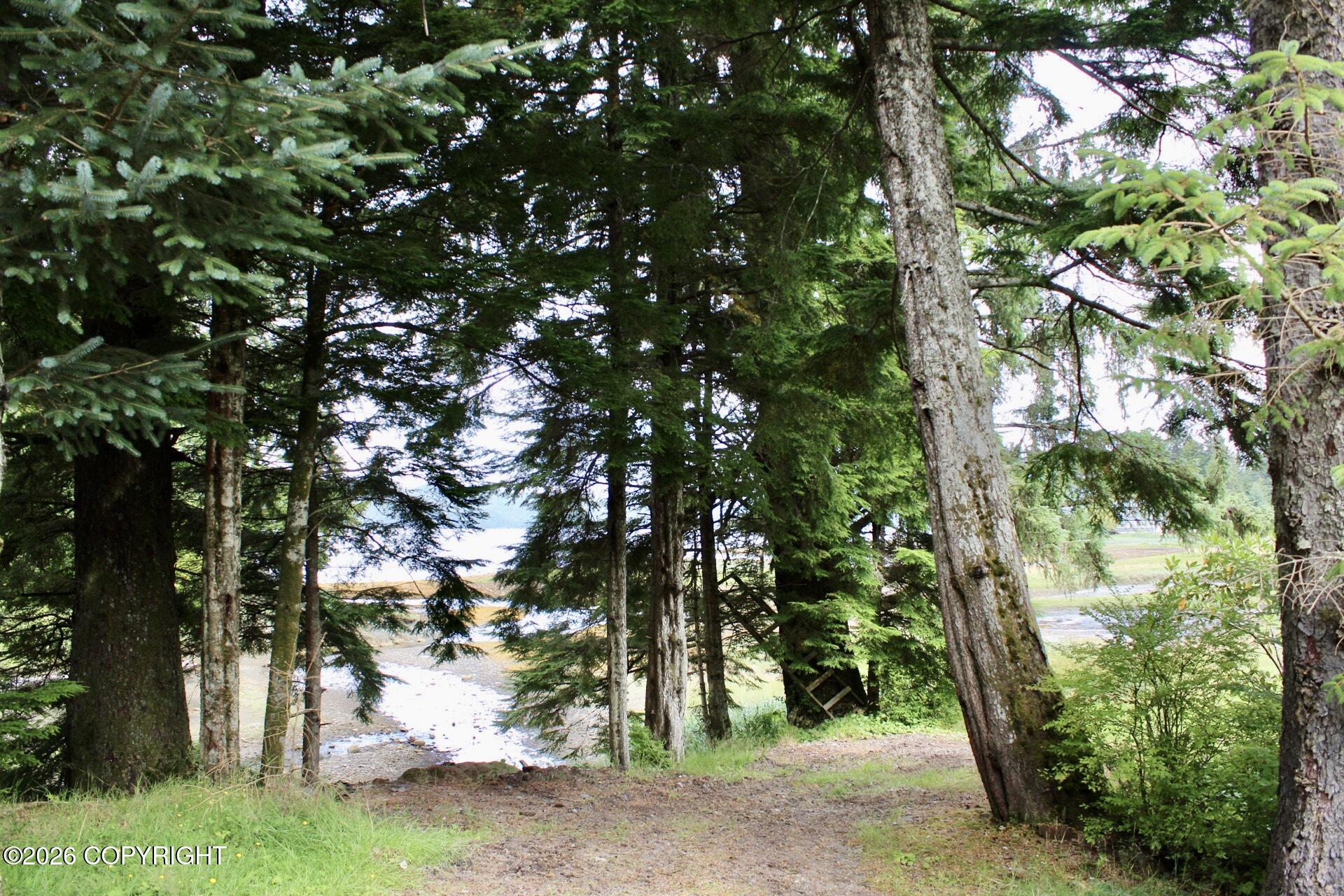14861 N Tongass Highway Property Photo 9