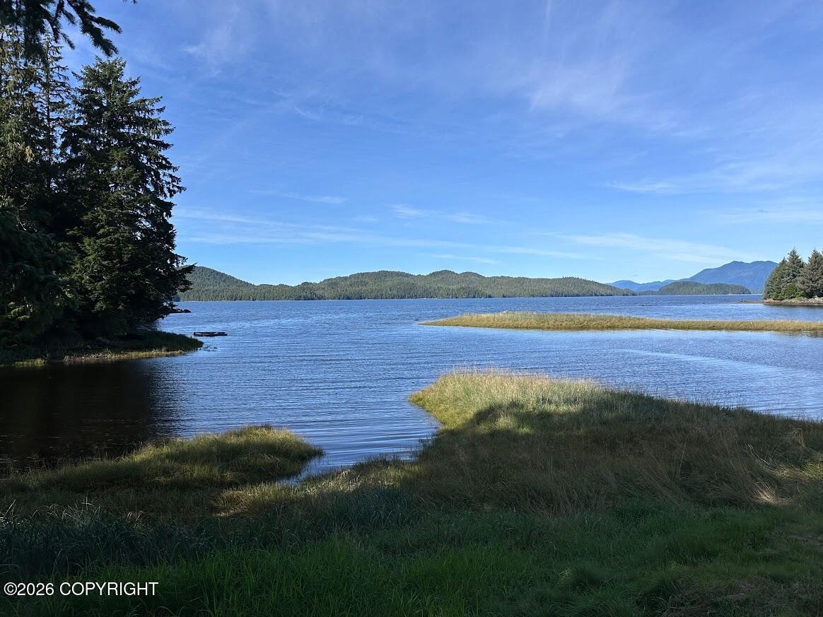 14861 N Tongass Highway Property Photo 110