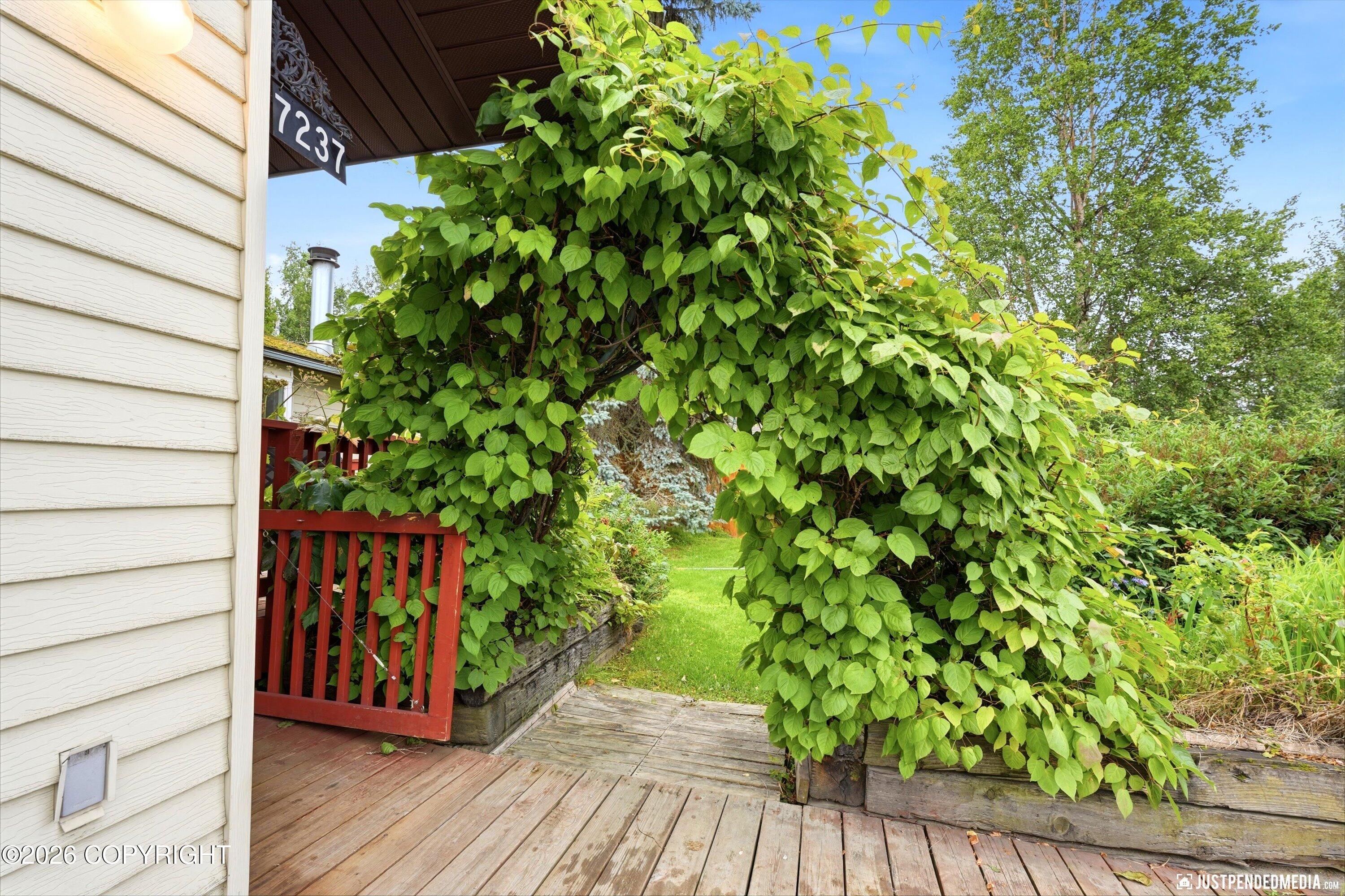 7237 Basel Street Property Photo 4