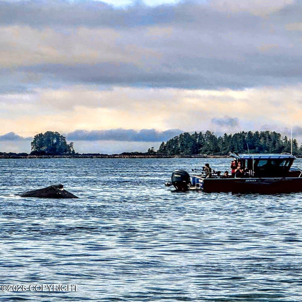 L150 Mertz Island Property Photo 32