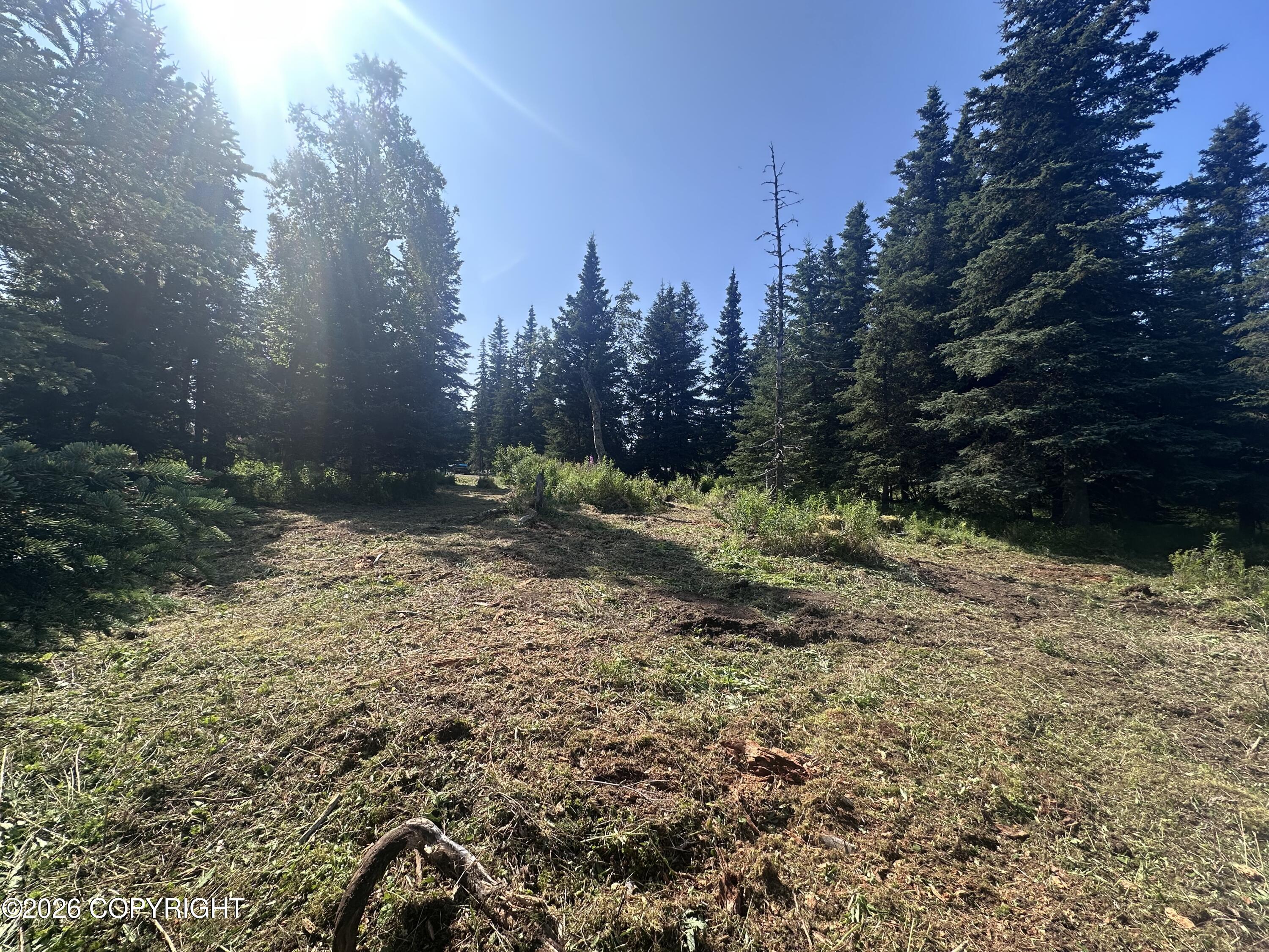 69272 Royce Drive Property Photo 1