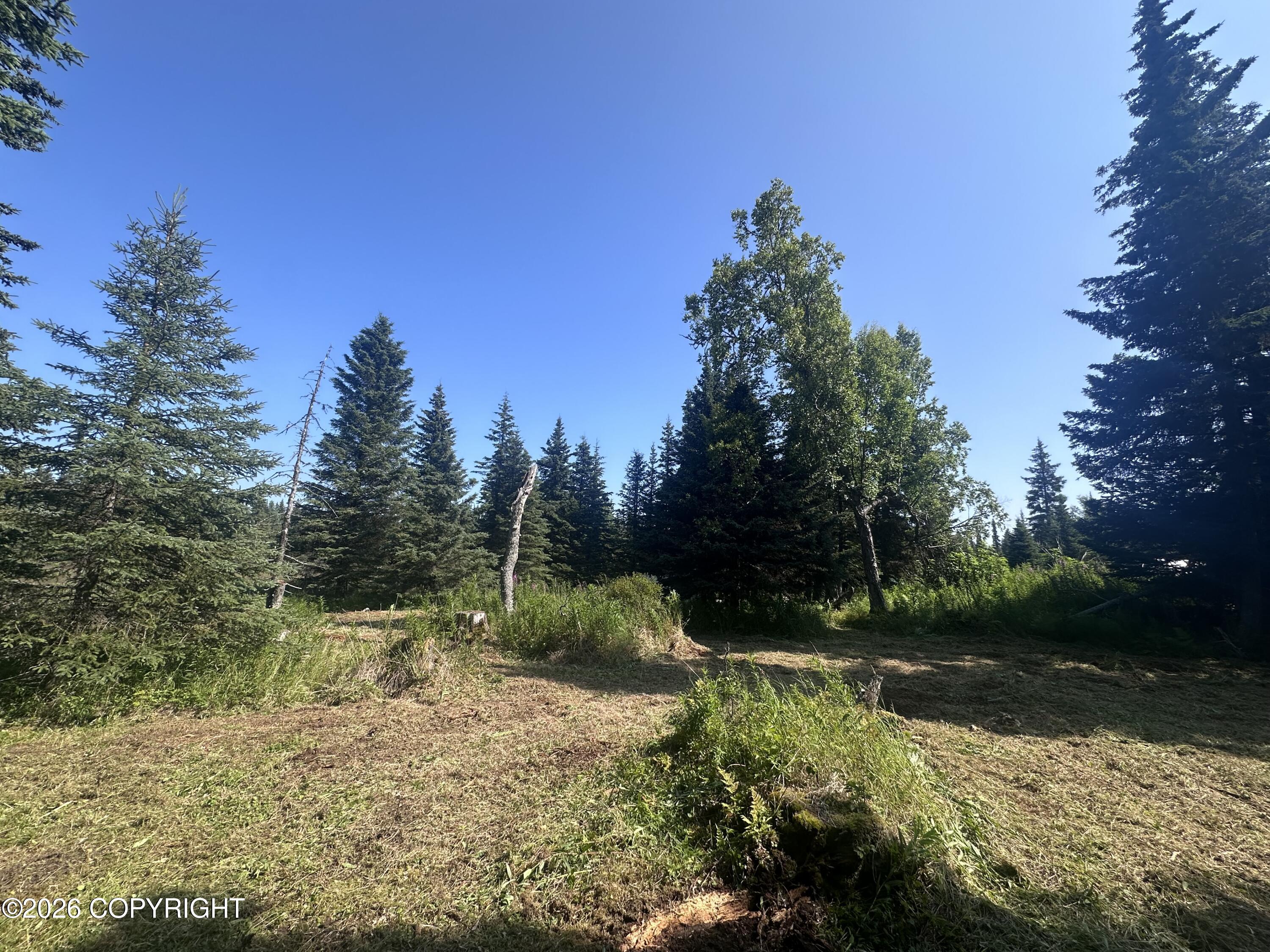 69272 Royce Drive Property Photo 2