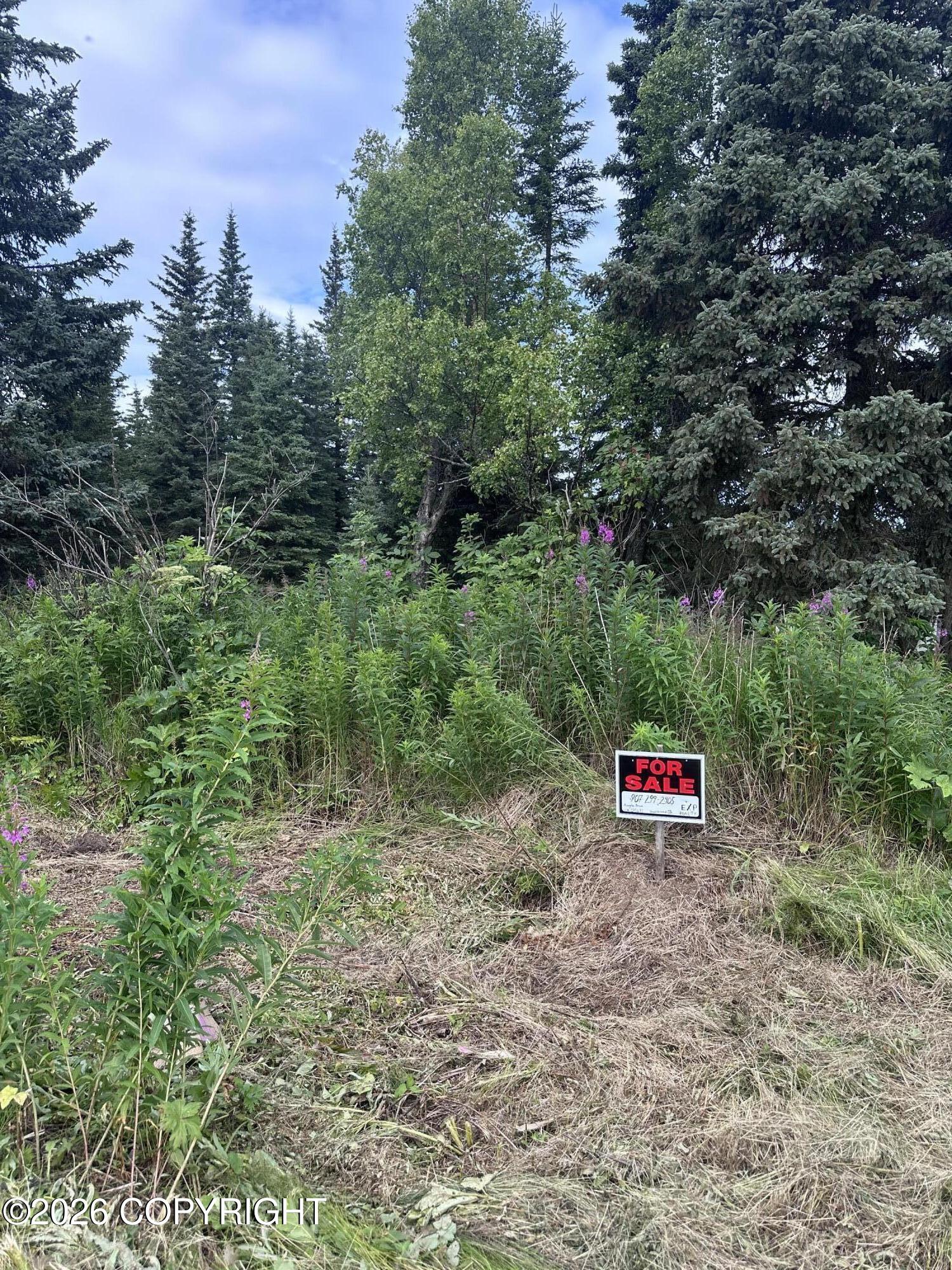 69272 Royce Drive Property Photo 3