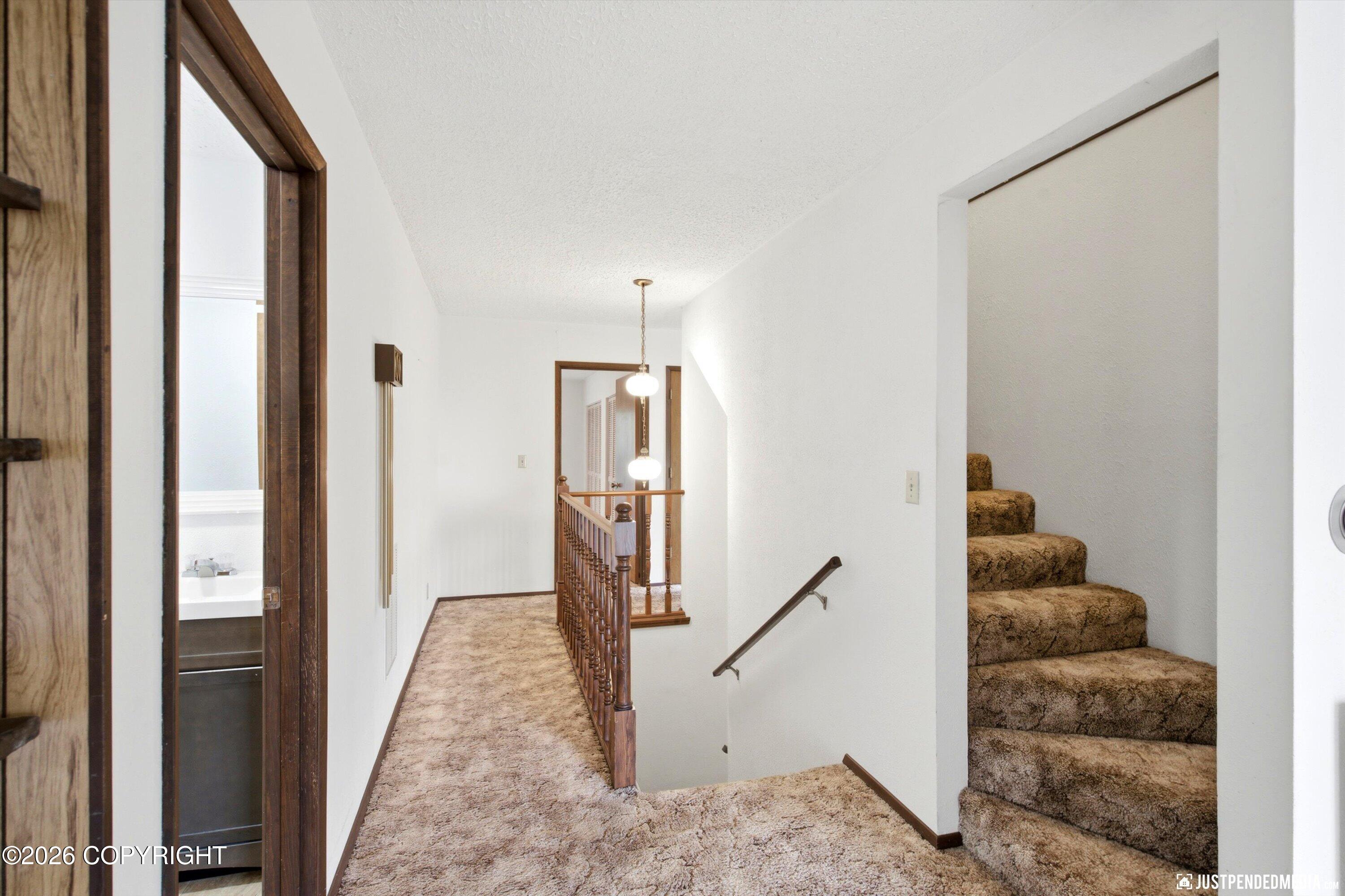 11813 Birch Hills Drive Property Photo 18