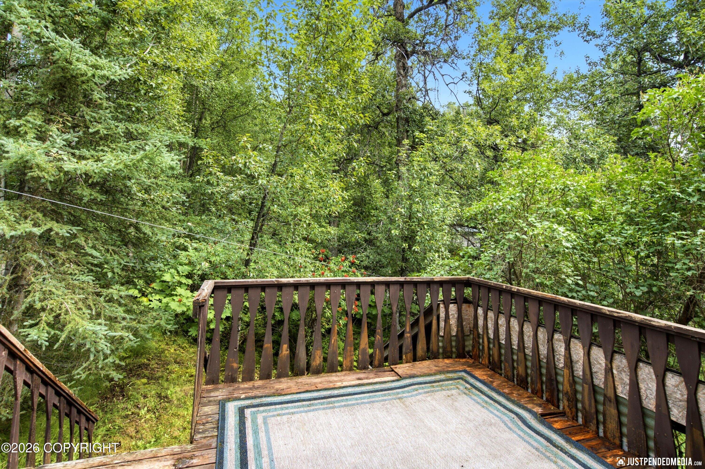 11813 Birch Hills Drive Property Photo 38