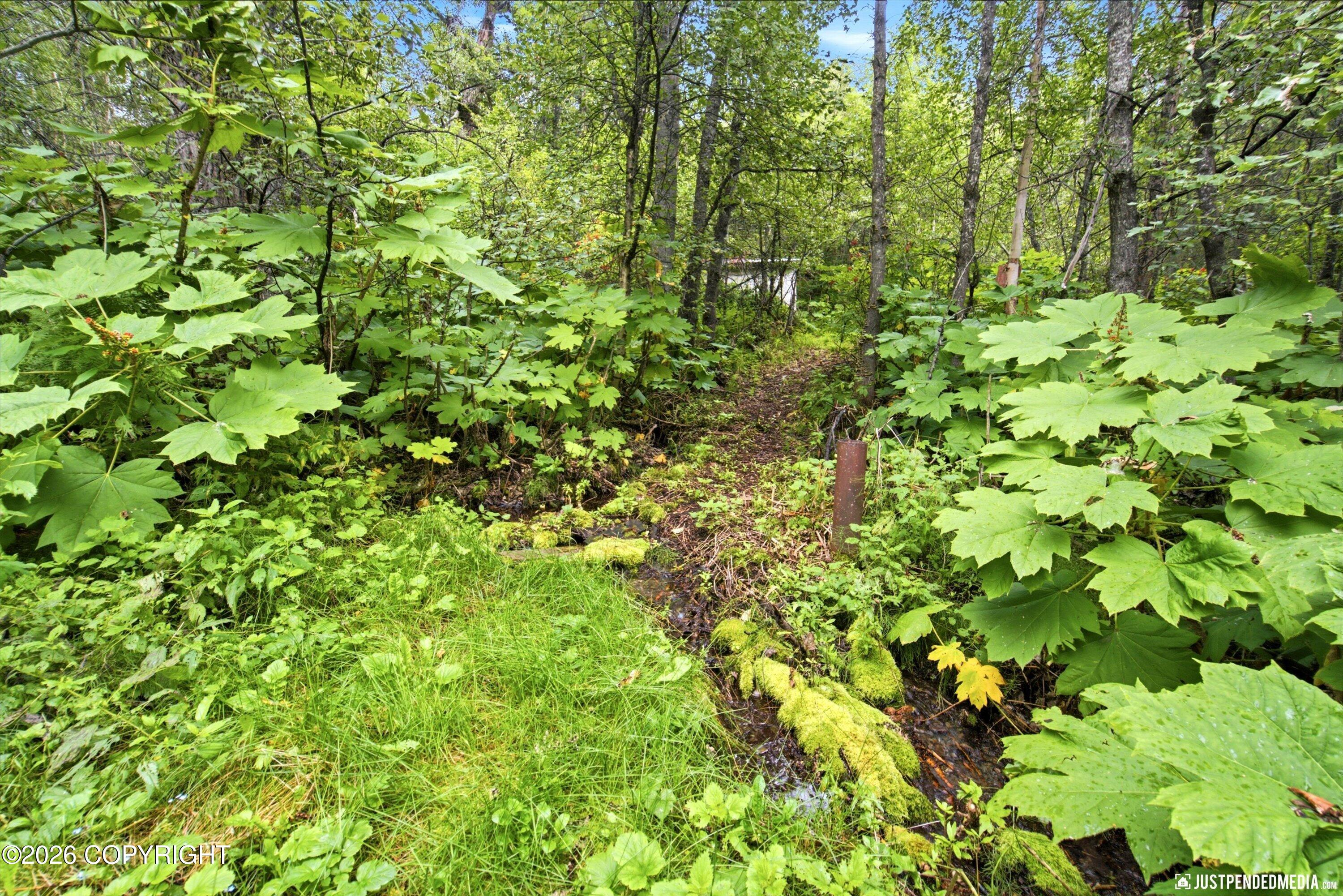11813 Birch Hills Drive Property Photo 41