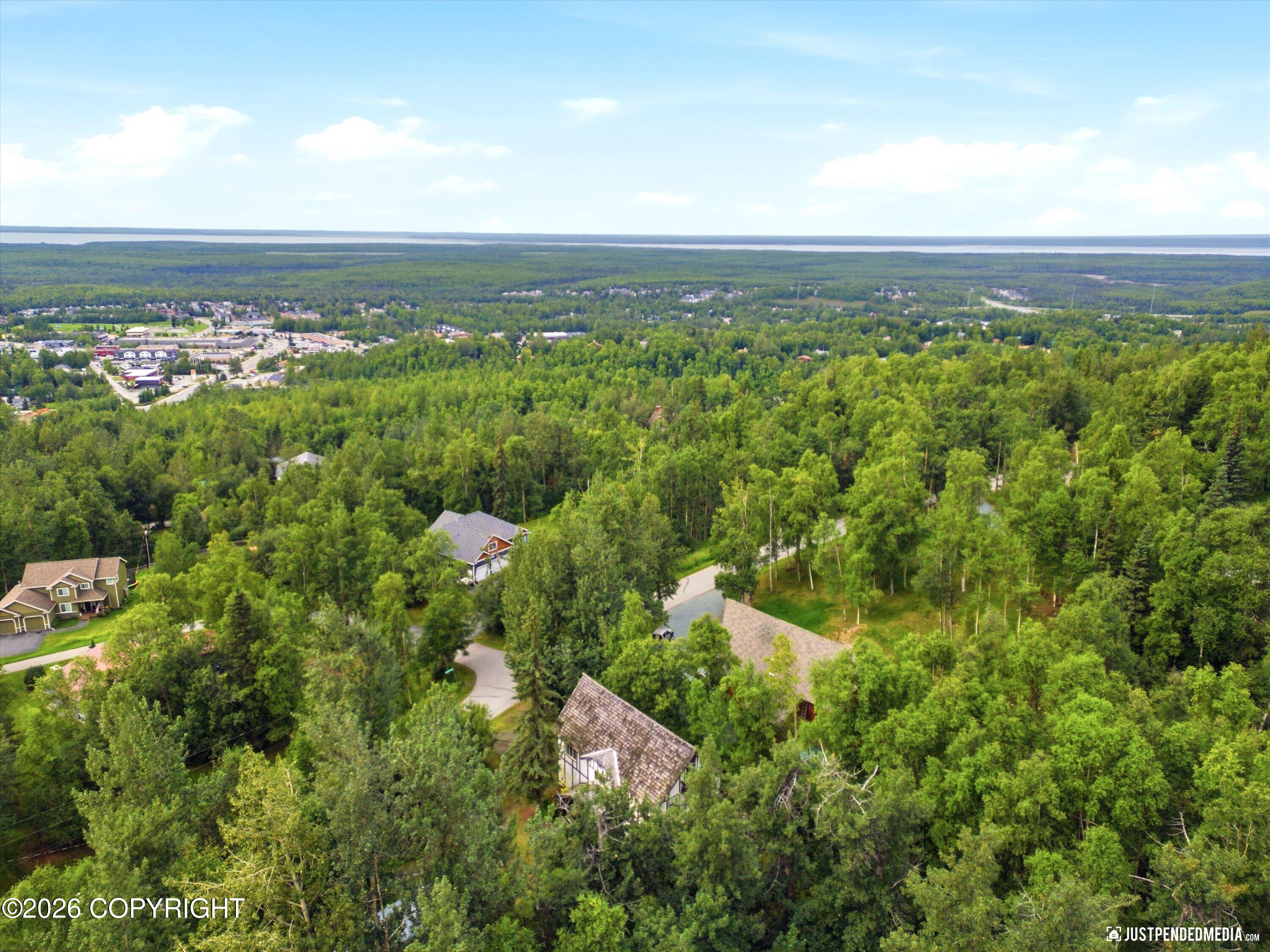 11813 Birch Hills Drive Property Photo 50