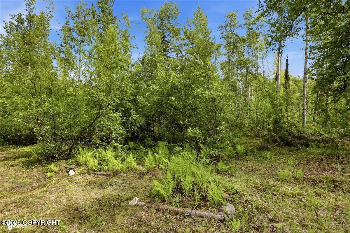 48949 S Rainbow Ridge Drive Property Photo 18