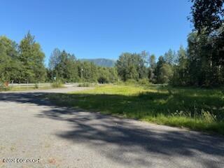 21322 Birchwood Loop Road Property Photo 2