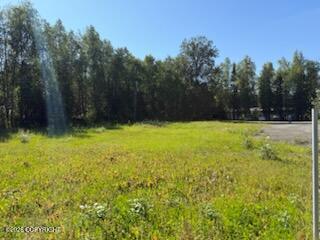 21322 Birchwood Loop Road Property Photo 3