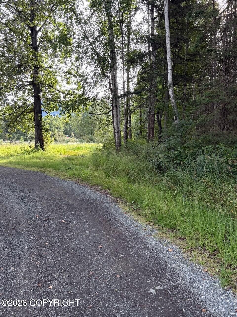 21322 Birchwood Loop Road Property Photo 6