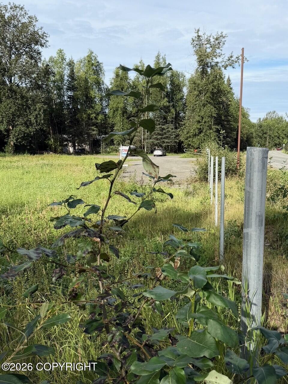 21322 Birchwood Loop Road Property Photo 9