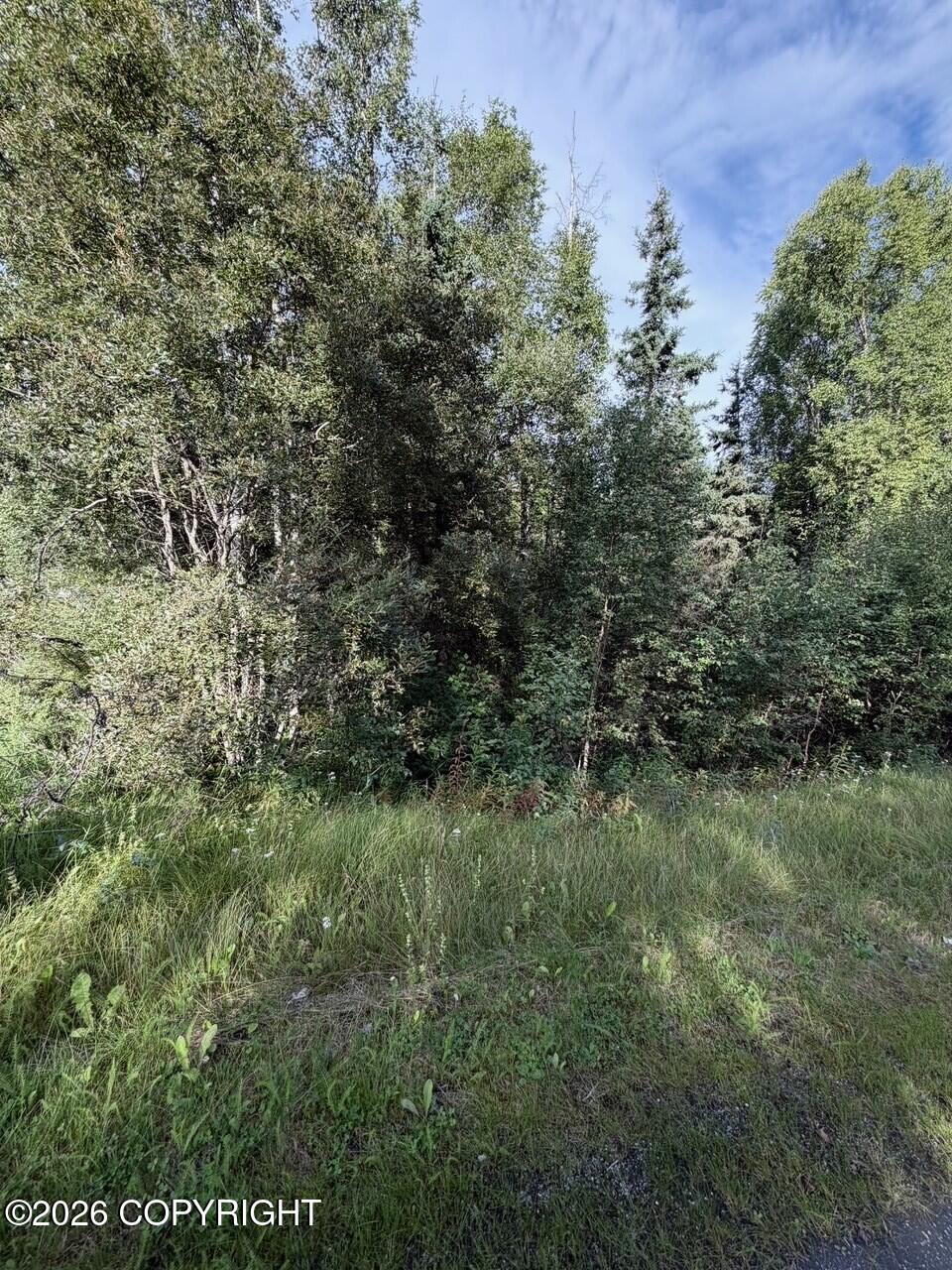 21322 Birchwood Loop Road Property Photo 15