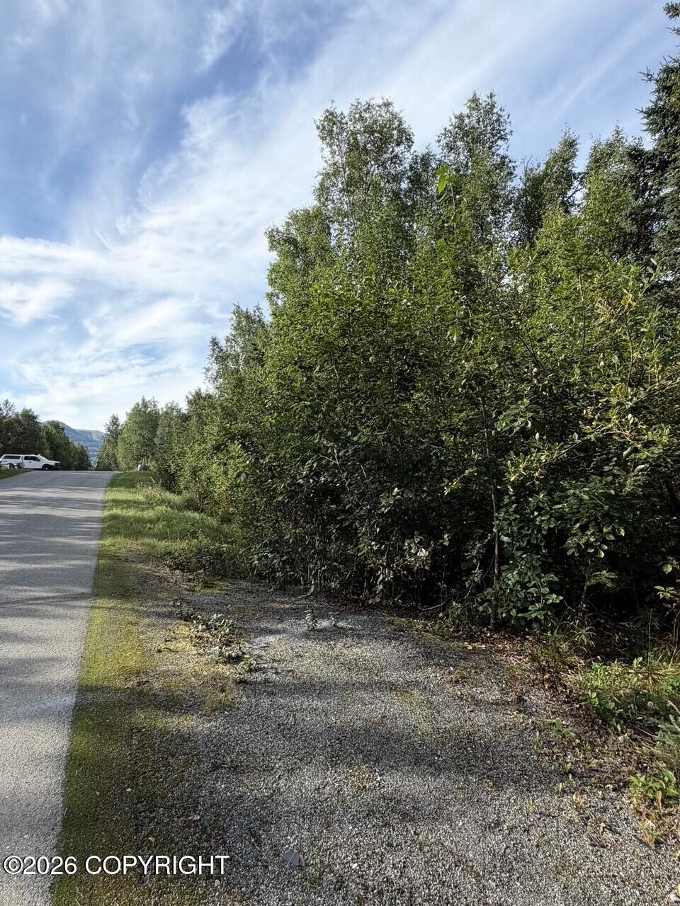 21322 Birchwood Loop Road Property Photo 17