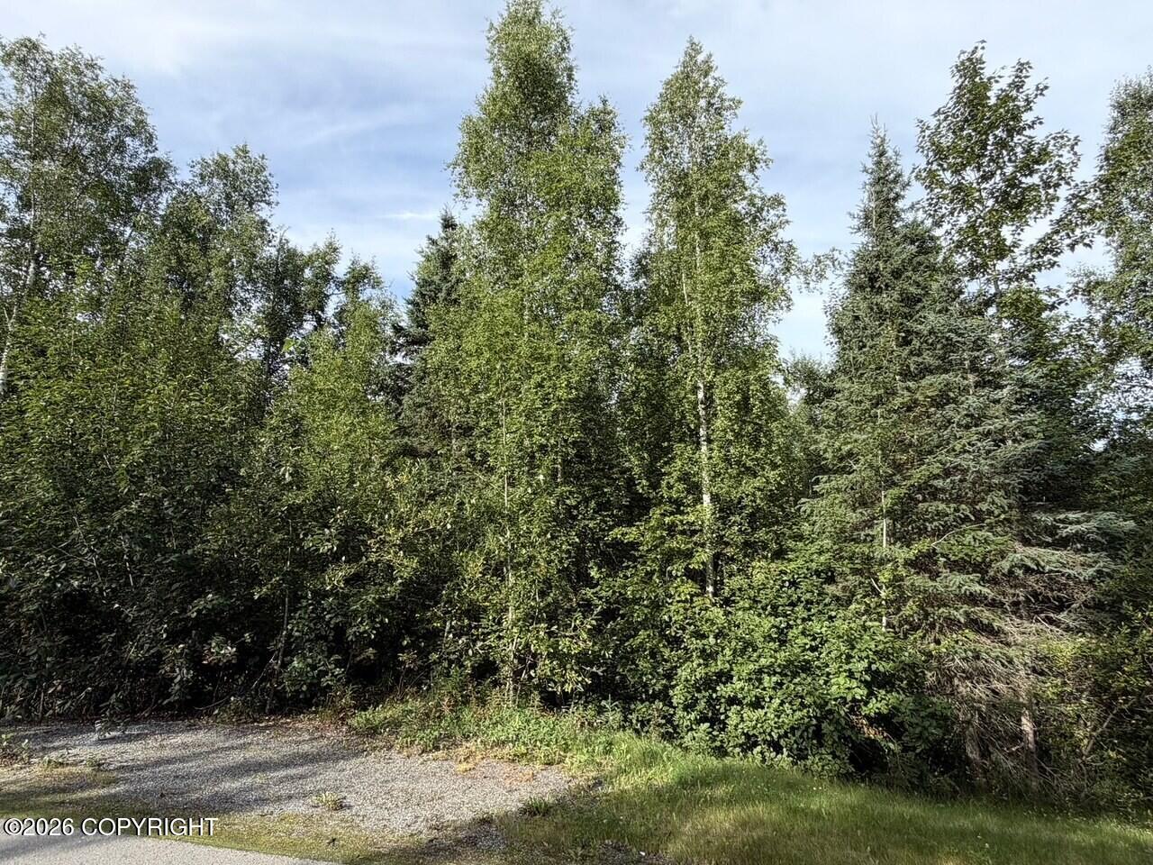 21322 Birchwood Loop Road Property Photo 21