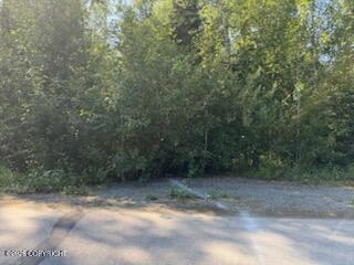 21322 Birchwood Loop Road Property Photo 24