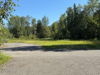 21322 Birchwood Loop Road Property Photo 27