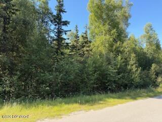 21322 Birchwood Loop Road Property Photo 29