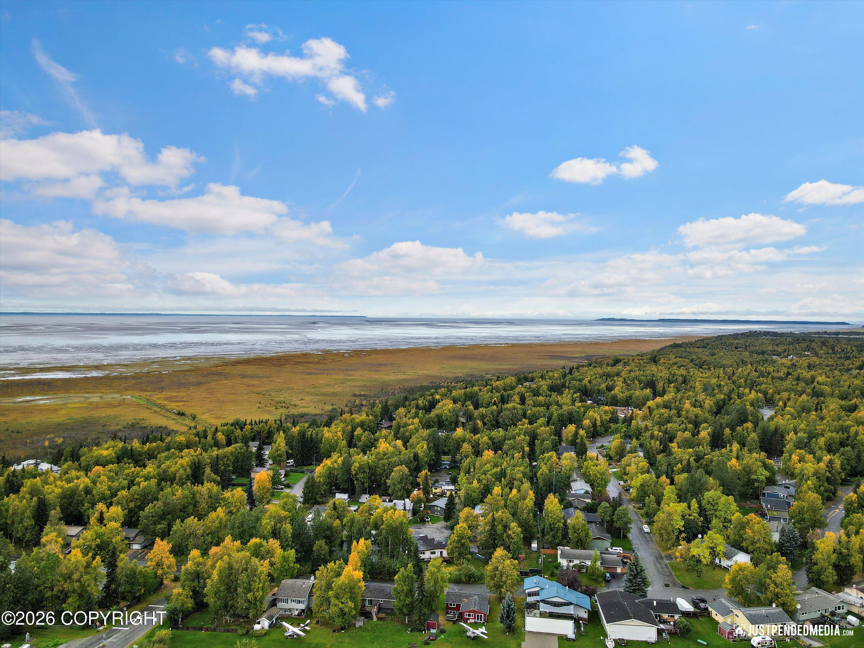 12872 Old Seward Highway #2 Property Photo 59