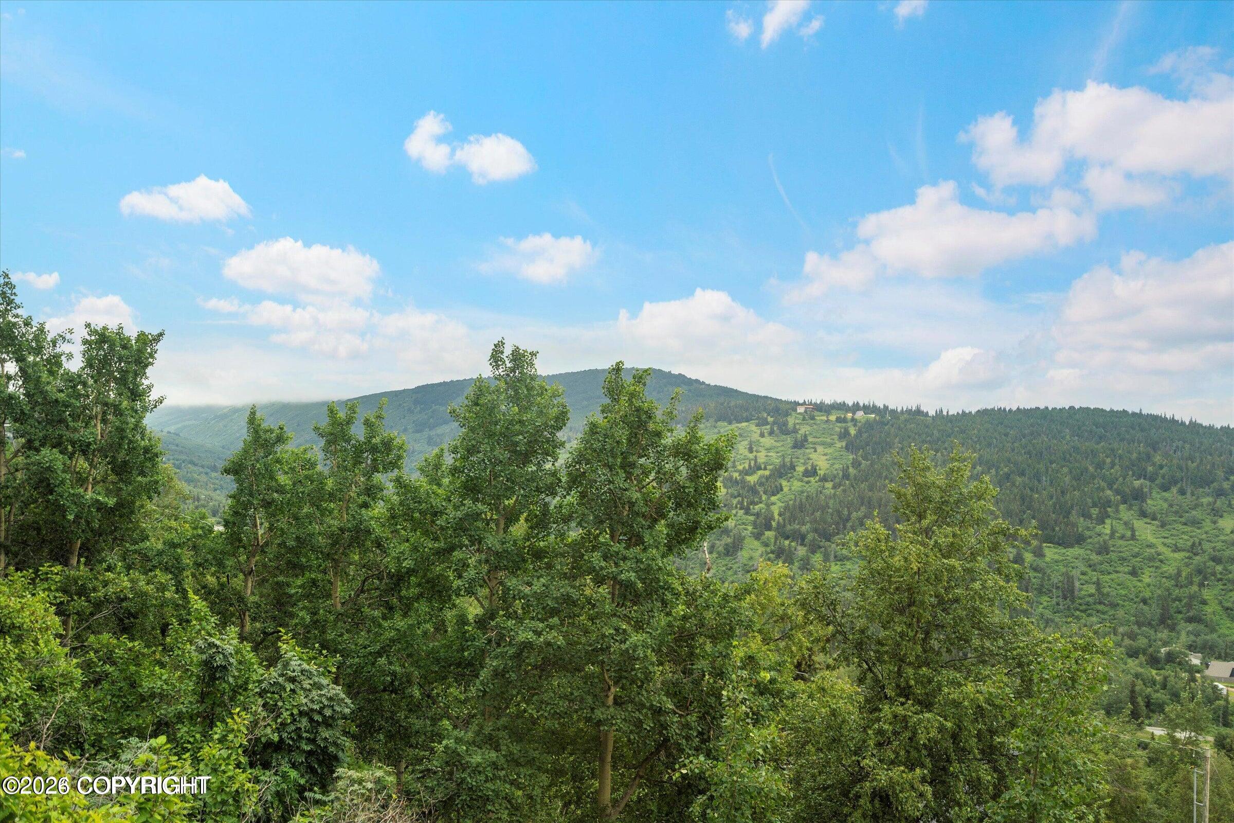 13275 Spendlove Drive Property Photo 41