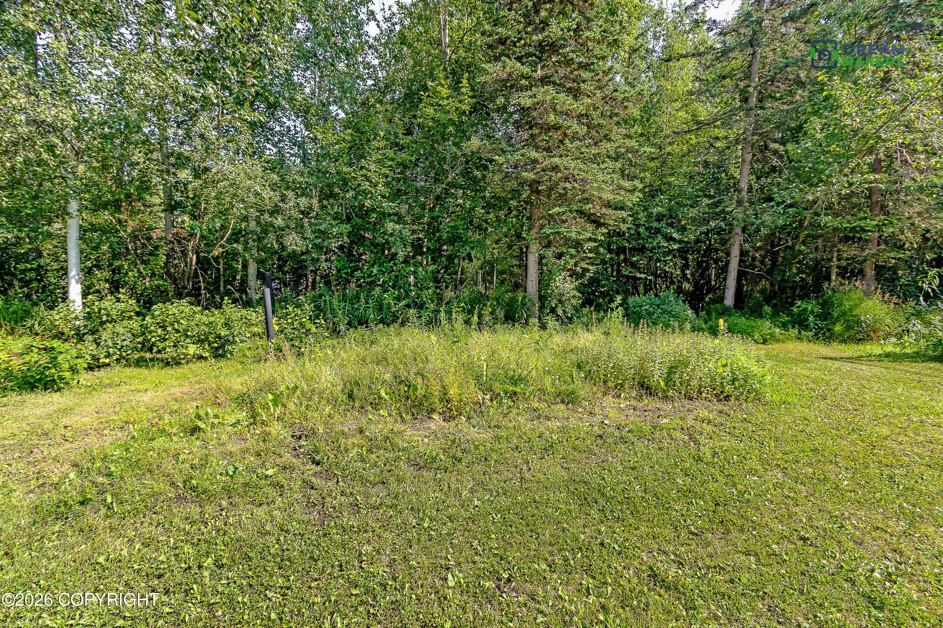 3630 W Lord Baranof Drive Property Photo 58