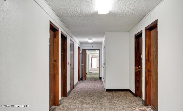3400 Eureka Street #305 Property Photo 7