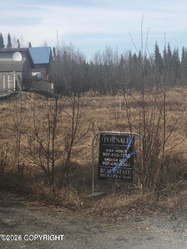 45628 Catching Silver Drive Property Photo 3