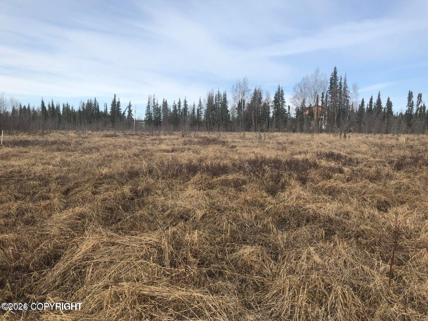 45628 Catching Silver Drive Property Photo 4