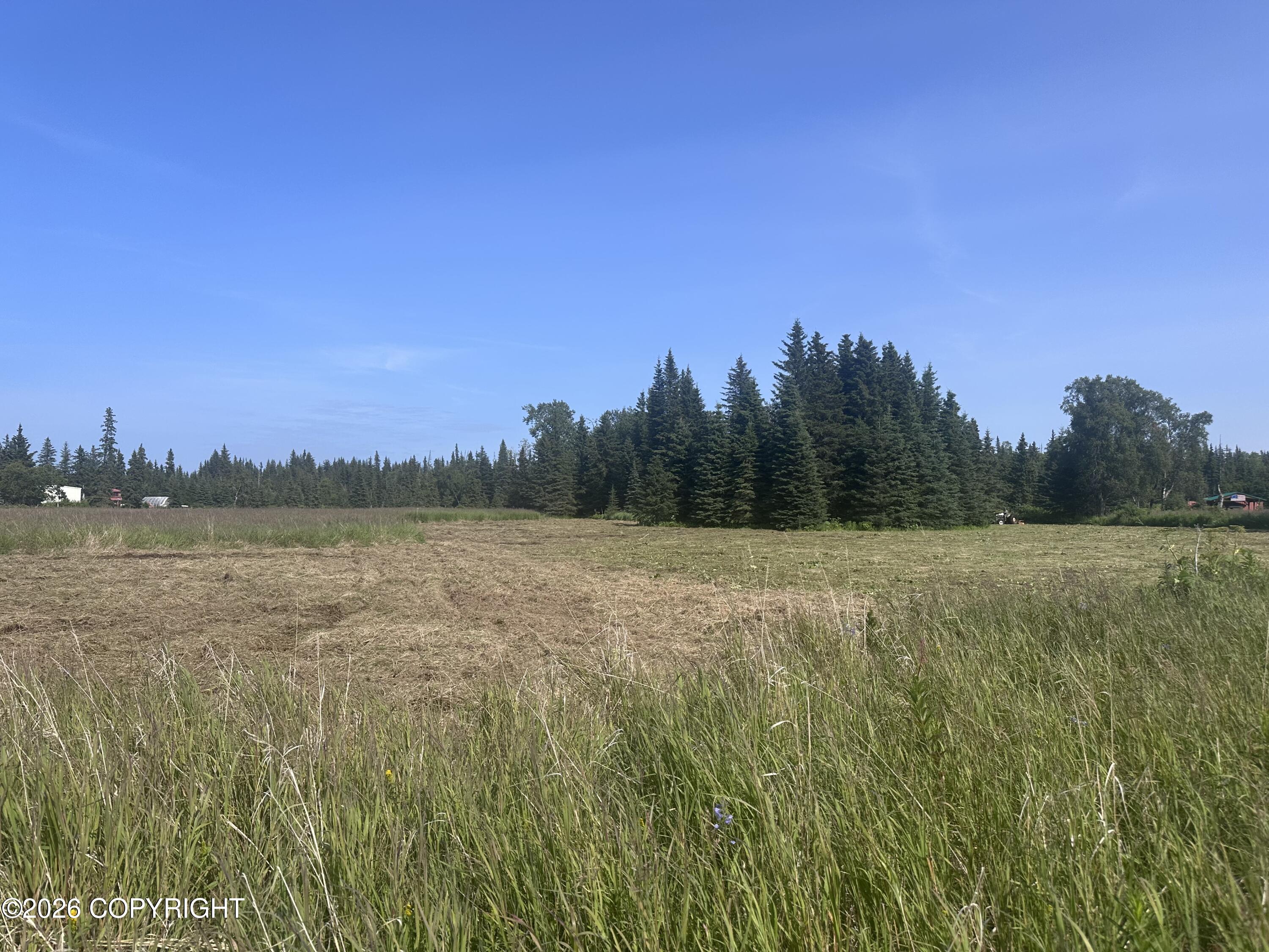 L18 B4 Plumb Bluff Estates Property Photo 3