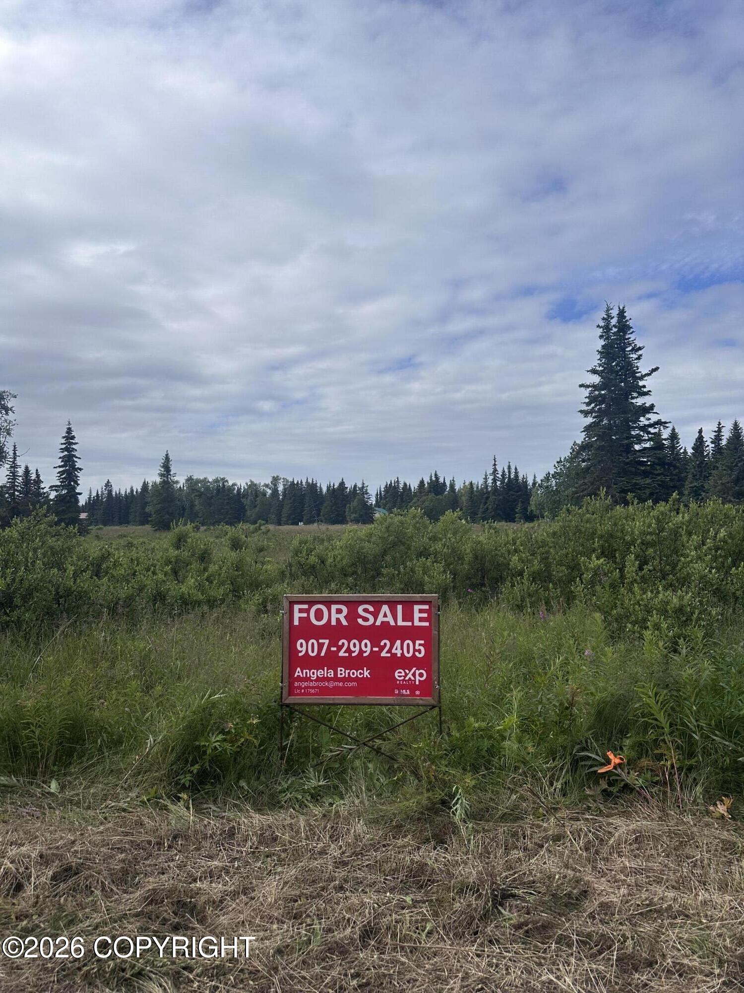 L16 B4 Plumb Bluff Estates Property Photo 1