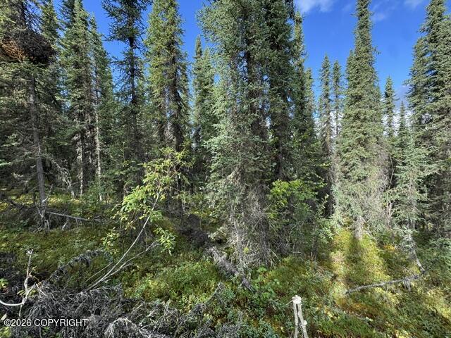 Tr 15 Funny River Road Property Photo 4