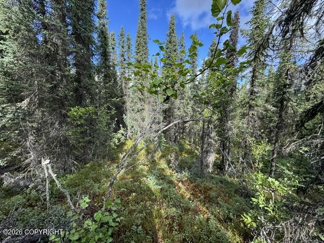 Tr 15 Funny River Road Property Photo 7
