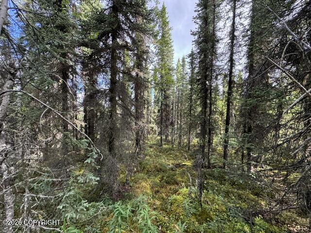 Tr 15 Funny River Road Property Photo 11