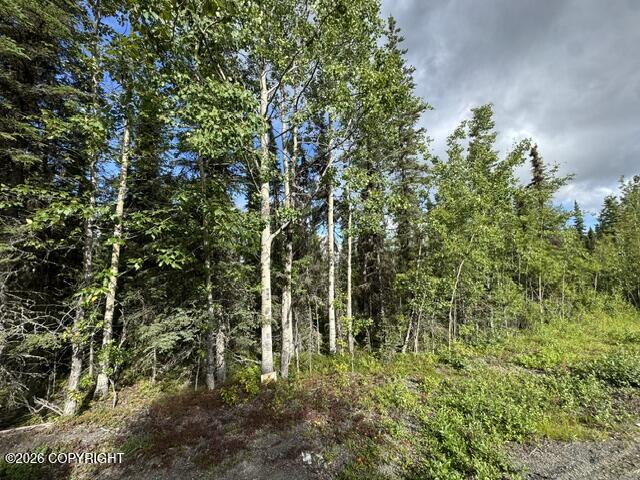 Tr 15 Funny River Road Property Photo 14