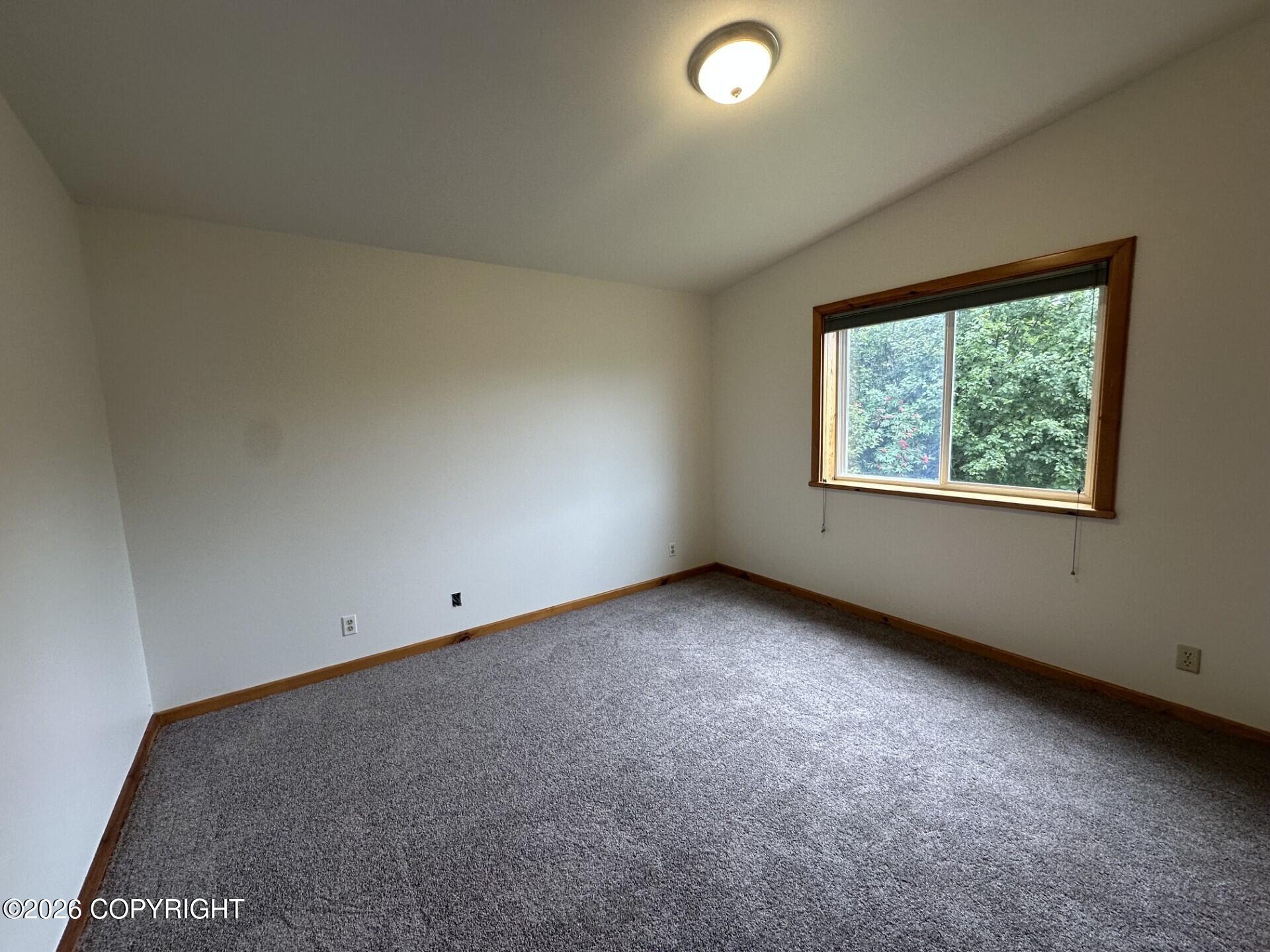 2430 Mount Augustine Drive Property Photo 10