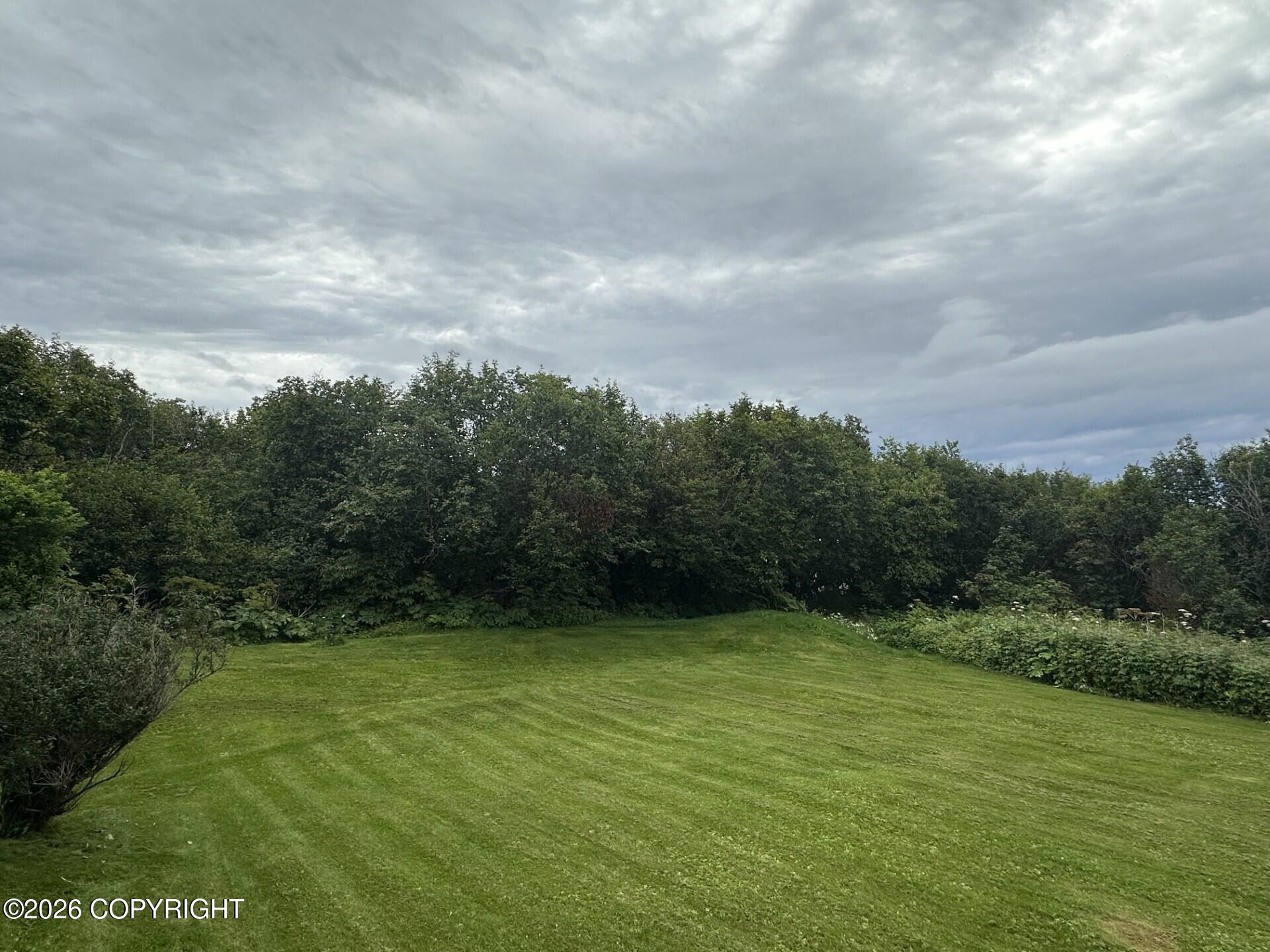 2430 Mount Augustine Drive Property Photo 45