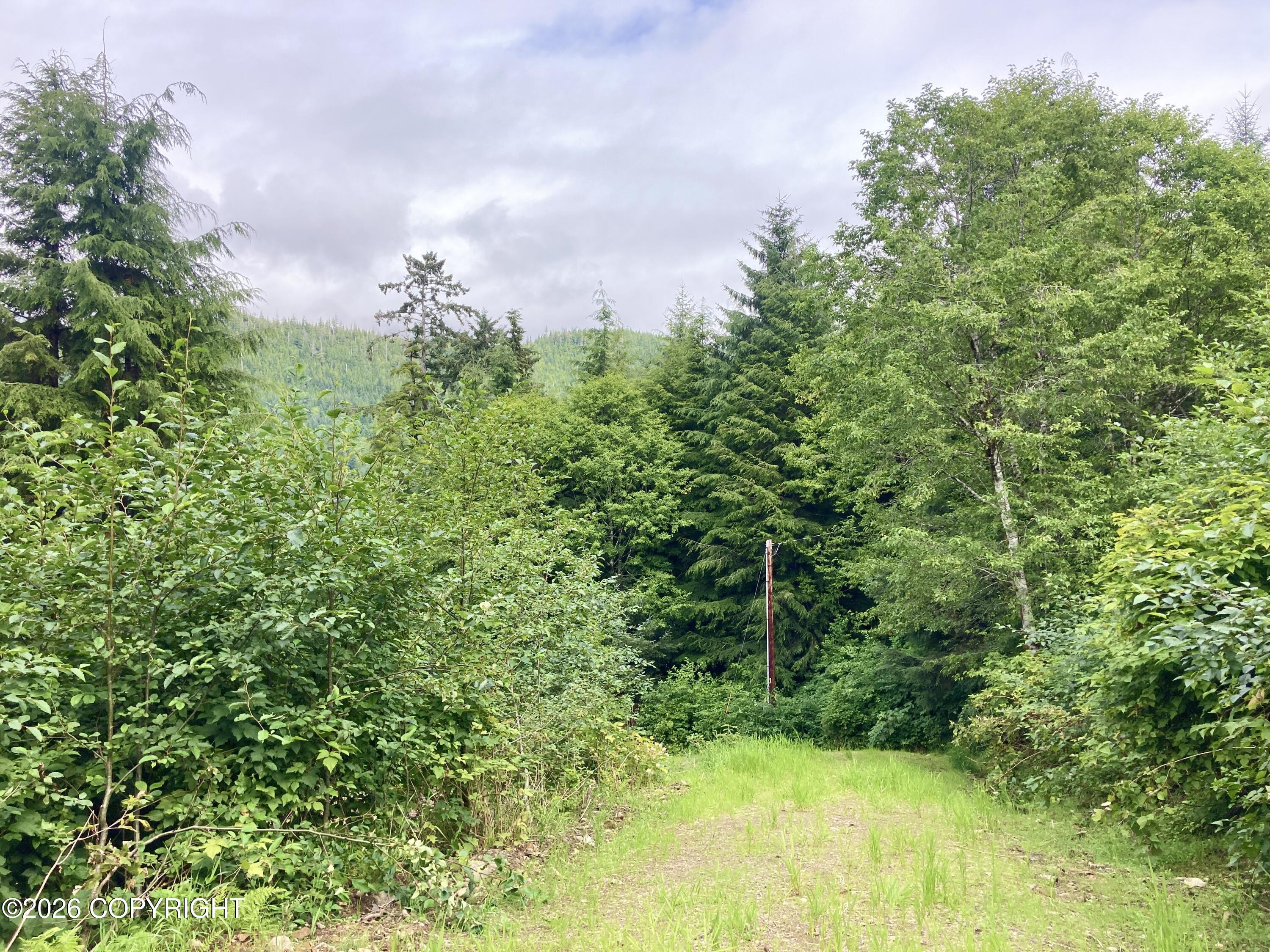9.6 Mlle Port Saint Nicholas Property Photo 16