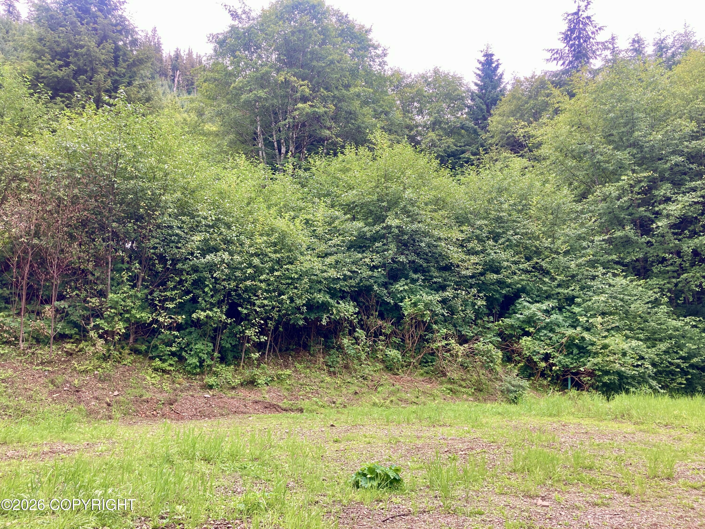 9.6 Mlle Port Saint Nicholas Property Photo 93