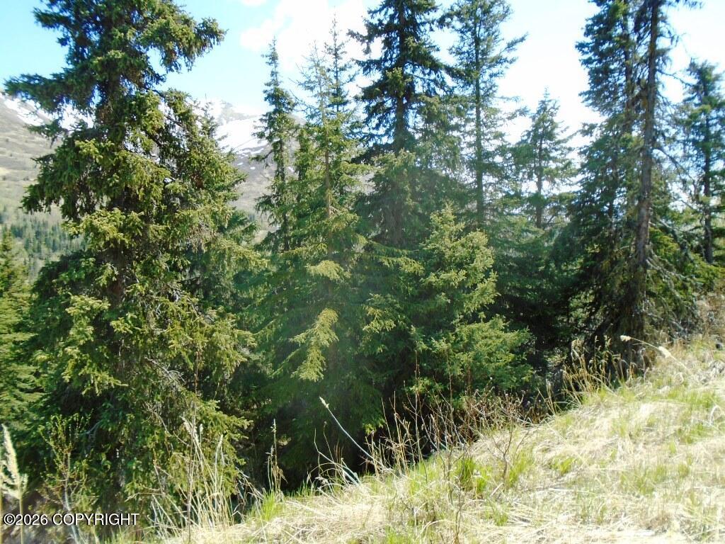 L2 West River Drive Property Photo 4