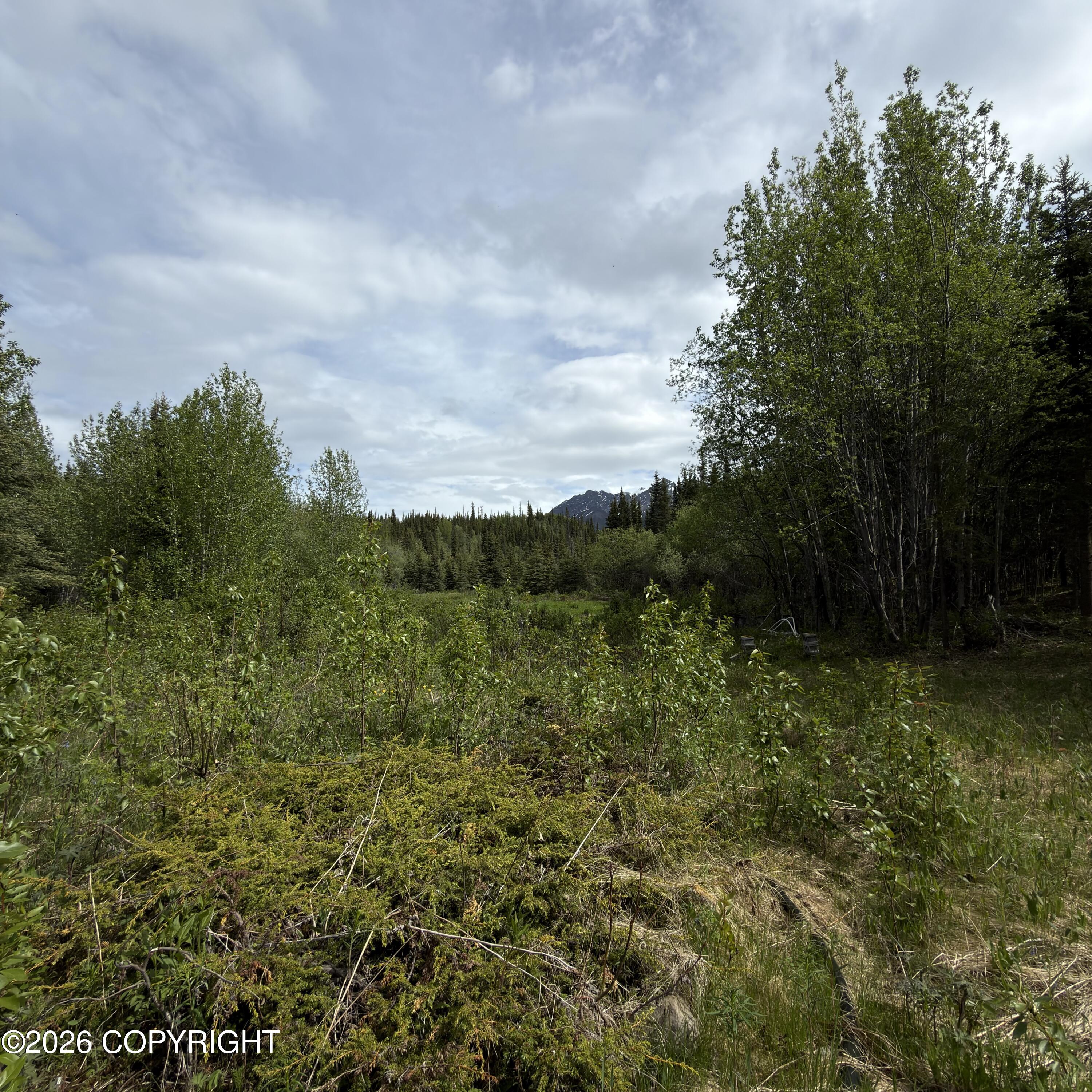 B009 T20nr10es25 Highway Property Photo 17