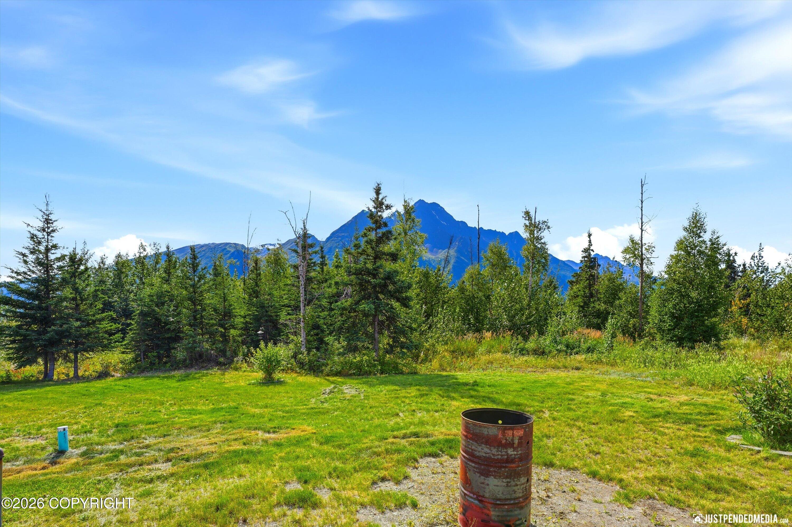 18112 E Pine Needle Way Property Photo 41