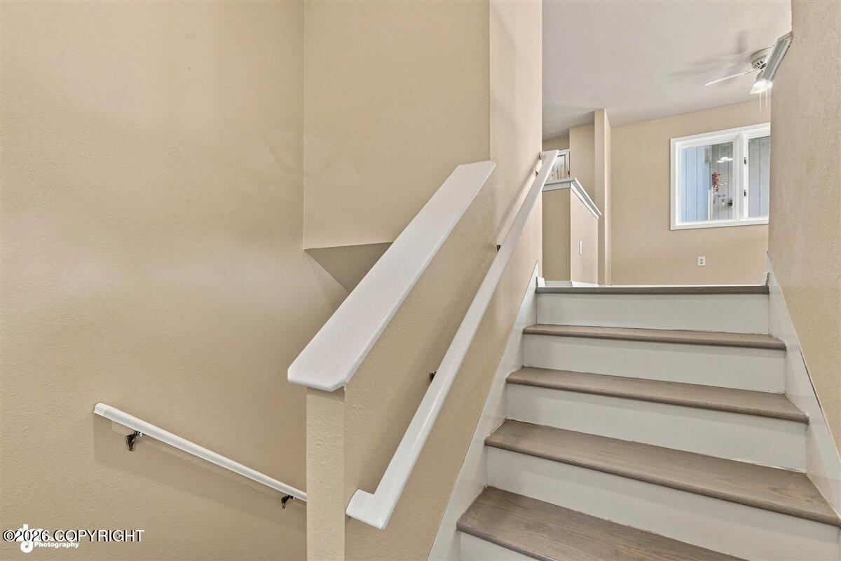 10111 Betula Drive Property Photo 4