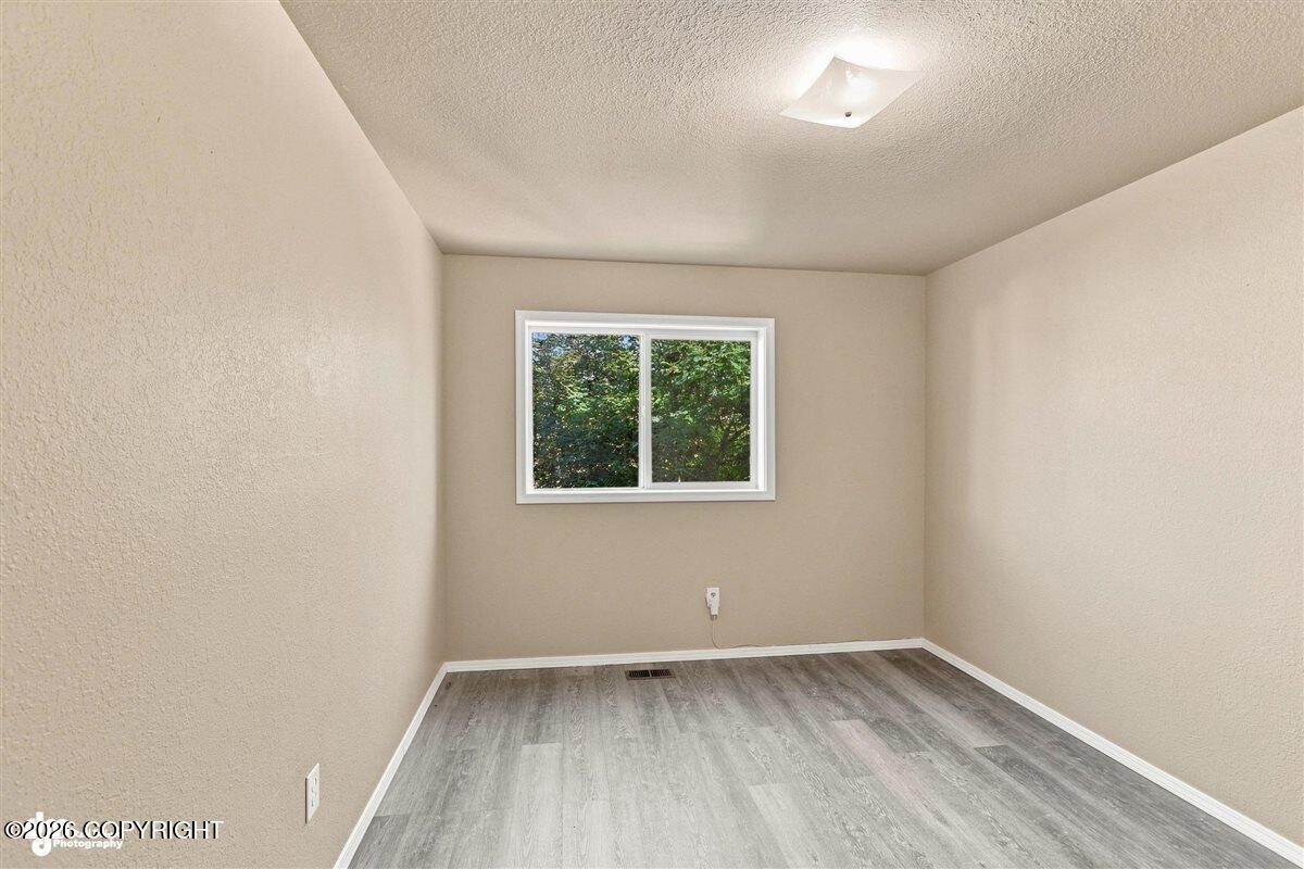10111 Betula Drive Property Photo 22